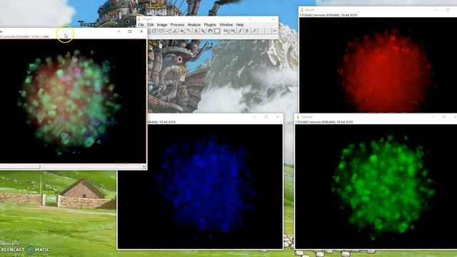 ImageJ Tutorial: How To Overlay Images
