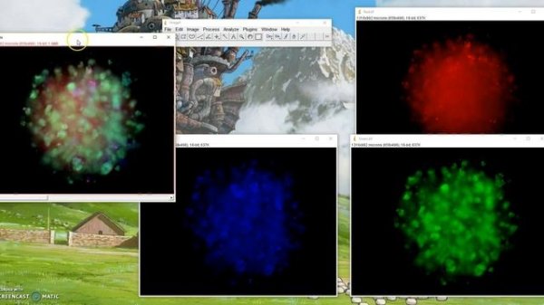 ImageJ Tutorial: How to overlay images