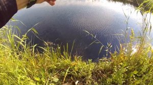 Ловля щуки на реке Усманка + обзор спиннинга KAIDA Basic