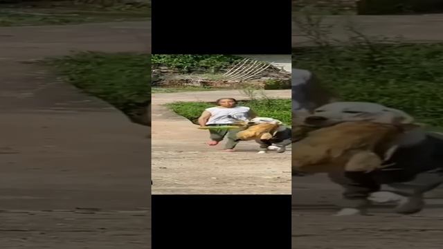 🤣🤣💯👍 смотреть онлайн