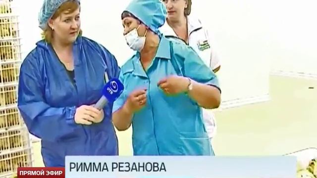 На Рефтинской птицефабрике открыли новый «птичий роддом» смотреть онлайн