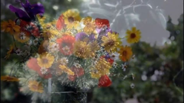 Самые не обычные цветы в мире смотреть онлайн