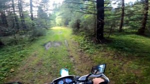 Racer PANTHER 250 // Прохват по лесу