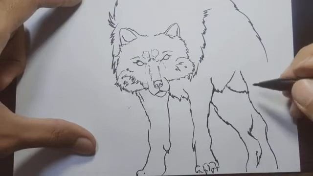 HOW TO DRAW WOLF SKETCH | STEP BY STEP | BEGINNERS DRAWING смотреть онлайн