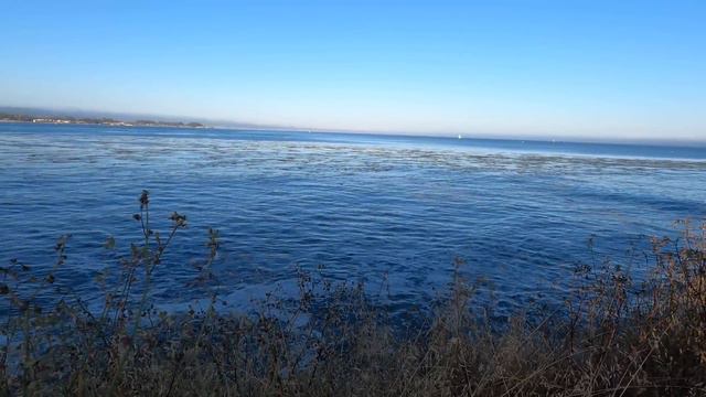 Вечерний променад вдоль Тихого Океана смотреть онлайн