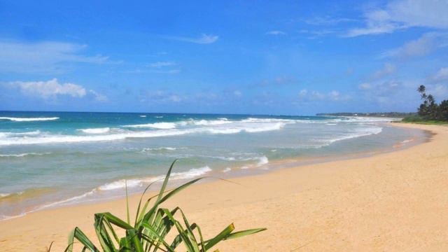 The Beach Cabanas Retreat & Spa, Koggala, Sri Lanka смотреть онлайн
