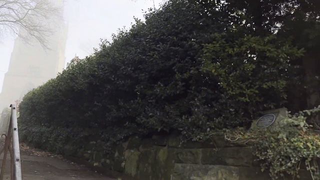 Ферма, собаки, фазан и туман. Что случилось? Cборник сюжетов из января 2023 г. №322 Жизнь в Англии смотреть онлайн