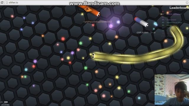slither.io#1 смотреть онлайн