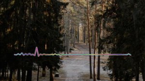 Хава Алиева - Твоя любовь 2024