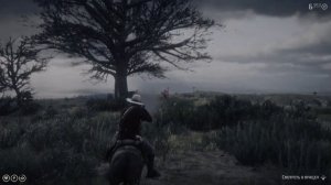 Самая редкая КРАСИВАЯ лошадь в RDR2 | Пейнтхорс СПЛЭШ-УАЙТ