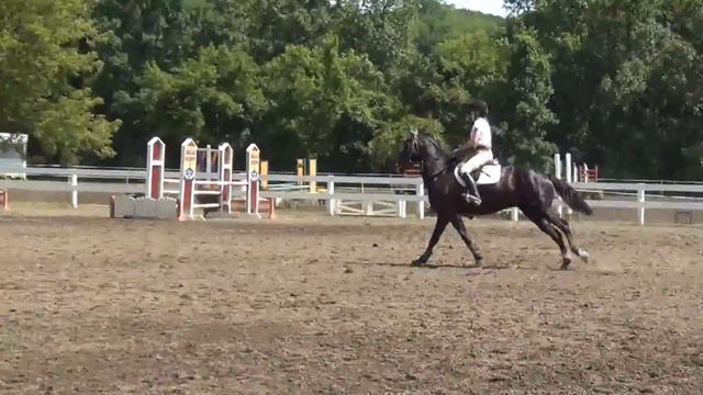 Platinum Stables- Wolfsbain смотреть онлайн