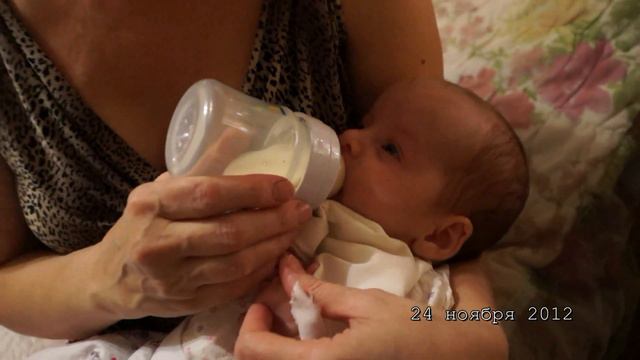 2012 11 24 На даче смотреть онлайн
