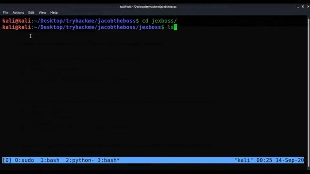 TryHackMe ! Jacob The Boss // Jboss exploit and pingsys privilege escalation смотреть онлайн