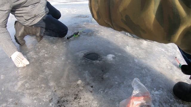 РЫБАЛКА на ВОДОХРАНИЛИЩЕ /д. БОГДАНОВО / СНОВА ТЯГАЕМ ЛЕЩЕЙ ! смотреть онлайн