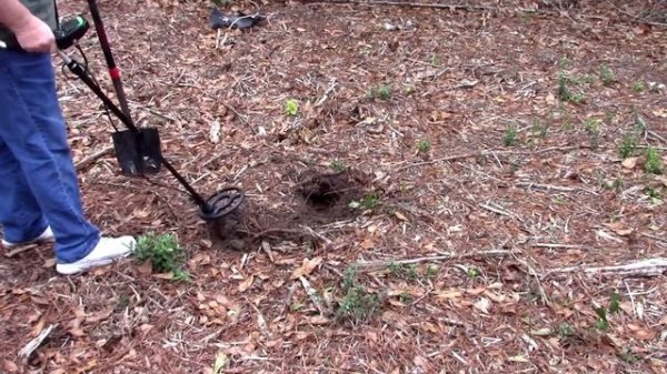 My Teknetics Delta 4000 Metal Detector; Treasure Hunting