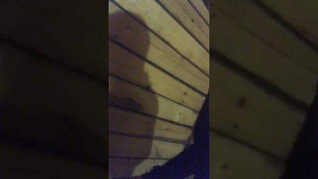 Дальнобой и Виталий смотреть онлайн