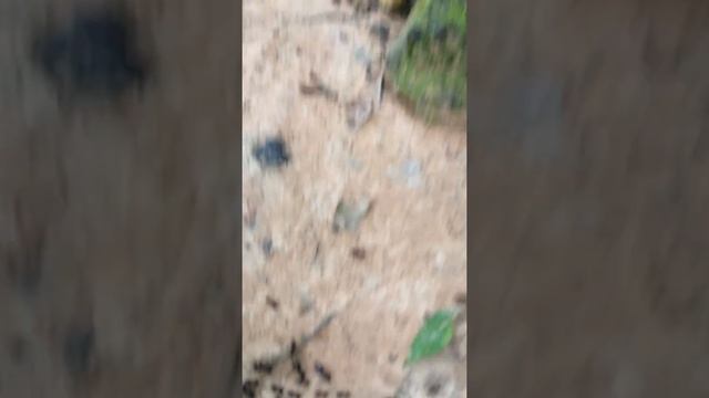 Камбоджа страна чудес смотреть онлайн