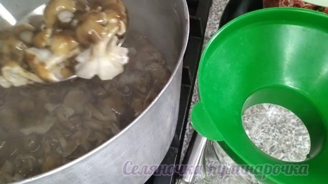 ☑️Опята ? Идеальный Маринад для Грибов ✍️+ Бонус ?Грибная икра смотреть онлайн