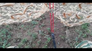 Лучший скрадок для  гусиной охоты. Скрадок своими руками.