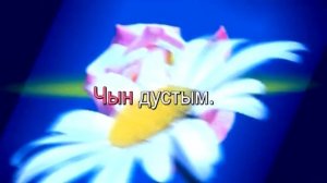 Чын дустым.Татарское Караоке