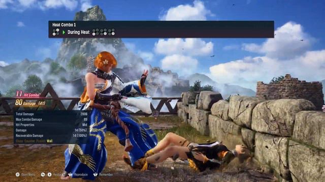 Reina Basic Wall Combos смотреть онлайн