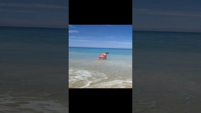 Сила Джедая снесла с ног девушку на пляже смотреть онлайн