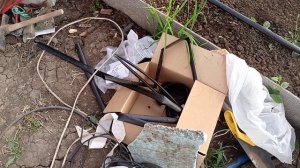 Капельный полив в теплице.