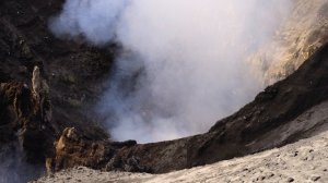 Добро пожаловать на Землю 1 серия «Тихий рёв» (документальный сериал, 2021)