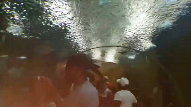 Johannesburg Zoo Aquarium