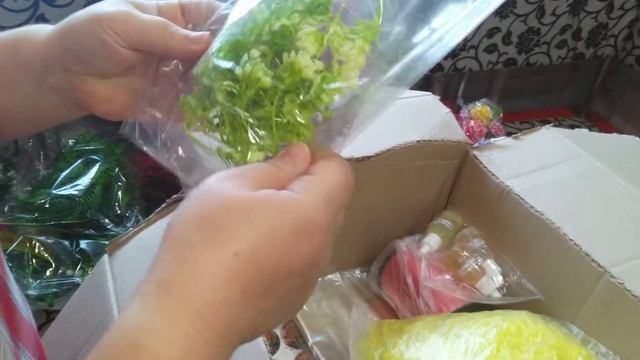 распаковка посылки из интернет магазина "Страна чудес" товары для мыловарения. смотреть онлайн
