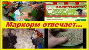 Чем кормить бройлеров? Ответ Маркорма