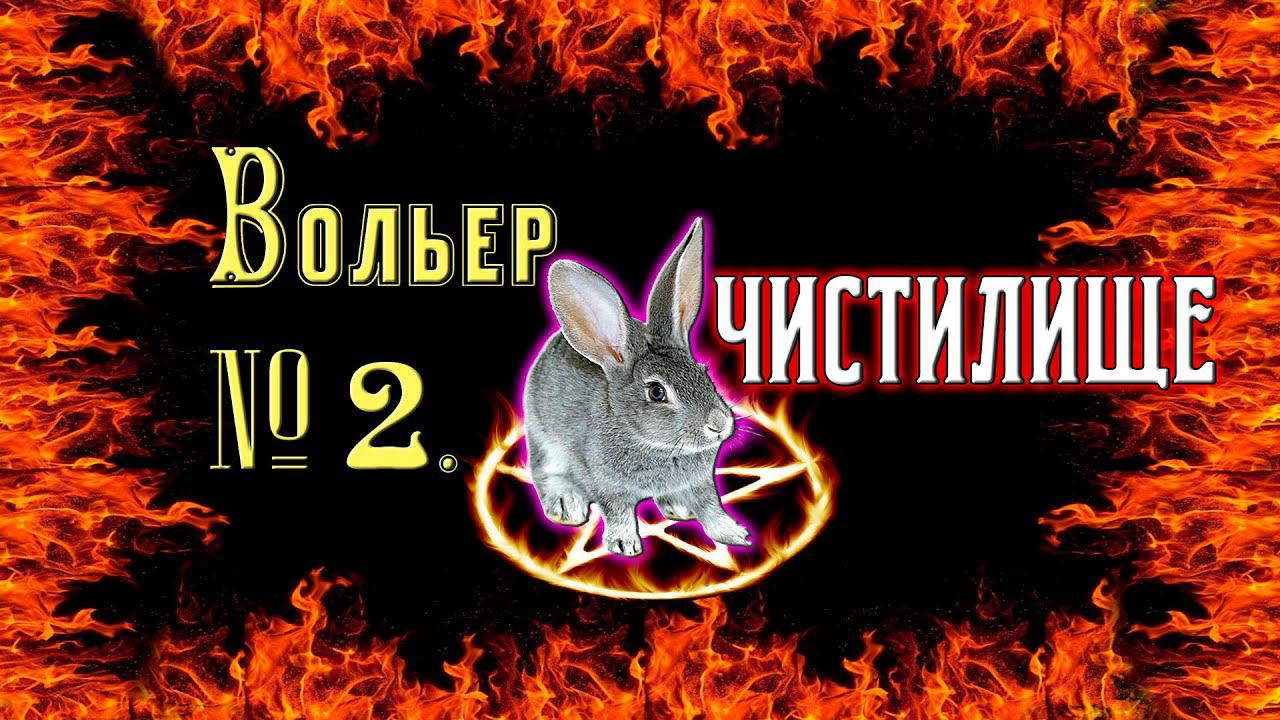 Вольер № 2. Чистилище кроликов смотреть онлайн