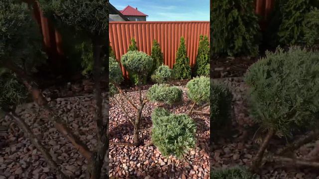 Ландшафтний дизайн „Чернівці” смотреть онлайн