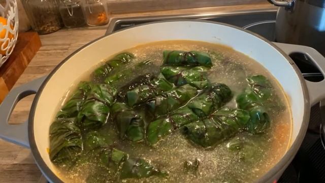 ГОЛУБЦЫ ИЗ СВЕКОЛЬНЫХ ЛИСТЬЕВ/БЛИНЫ/МОИ ПУШИСТЫЕ ТИГРЫ??? смотреть онлайн