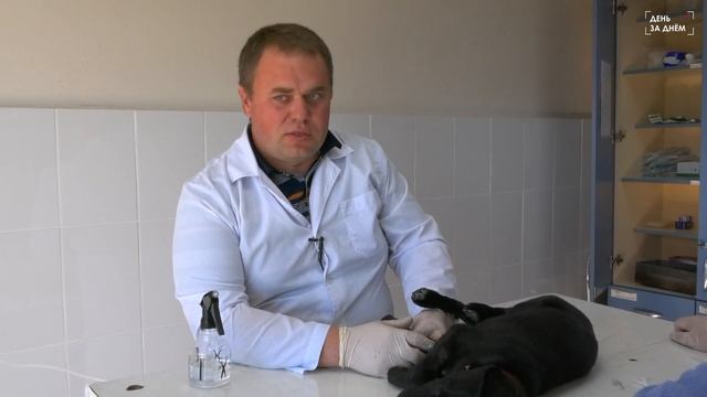 Близкие люди // Иван Никитин смотреть онлайн