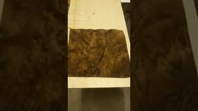 Шпон Орех американский корень (кап) смотреть онлайн