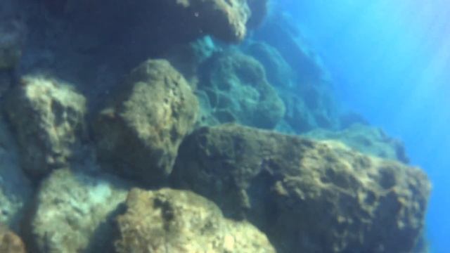 Крабики, рыбки, морские ёжики. Подводный мир голубой лагуны на Кипре. смотреть онлайн