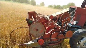 Bizon z020 с измельчителем. Уборка 2020