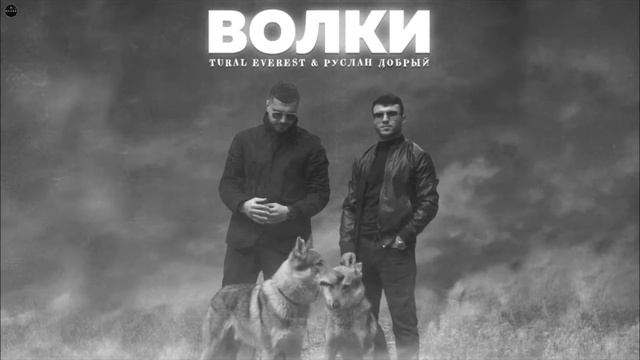 Руслан Добрый Tural Everest  - Волки  Добрый Я   Богатый   ТОП ХИТЫ которые взорвали ТИК ТОК