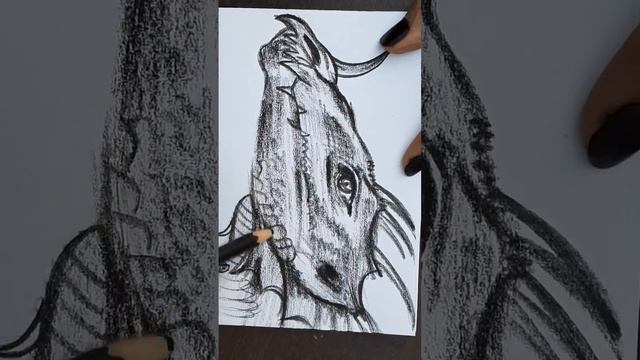 Japanese Dragon Drawing смотреть онлайн