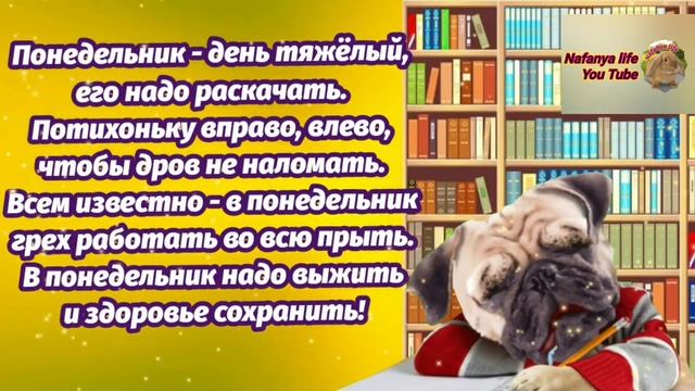А Чего Это Вы Тут Делаете? Пора На работу! Начнем Неделю с Позитива. смотреть онлайн