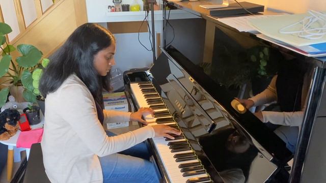 Amélie Theme - Comptine d'un autre été - Silo's Piano смотреть онлайн