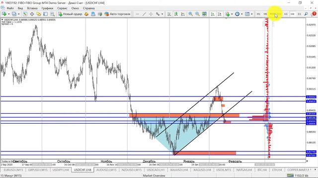 Бесплатные торговые сигналы форекс от FIBO | 11.02.2021 | Основные и сырьевые валютные пары смотреть онлайн