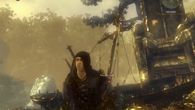 The Witcher 2 - Gameplay on Fujitsu Lifebook AH531 смотреть онлайн