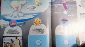 PANINI ANIMALS 2021 ВСЕ ДЛЯ ПЛАНЕТЫ, распаковка 7 пакетиков, ВЫПУСК №2!