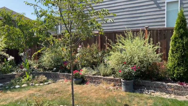 How I started My Backyard Oasis смотреть онлайн