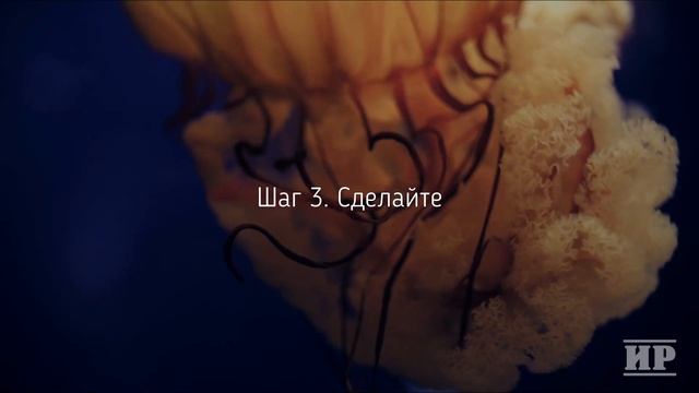 3 простых шага к УСПЕХУ смотреть онлайн