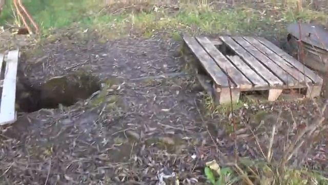 M2U00796 11 ноября сб 2023 г Родник № 1 Бобровники смотреть онлайн