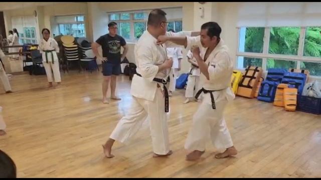 Ashihara Karate: Details on Positioning for Kihon no kata Ichi смотреть онлайн