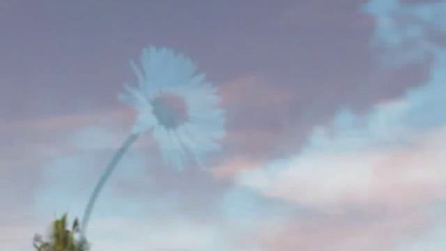 Watch The Sky - Ryan Farish смотреть онлайн